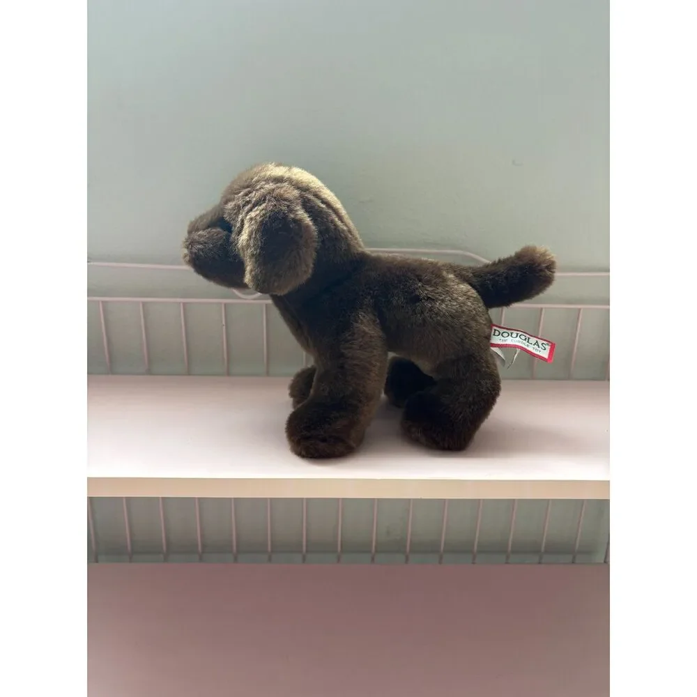 Douglas tucker chocolate lab